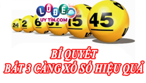Cách soi cầu 3 càng vip chính xác giúp bạn đánh đâu trúng đó 18 Cách soi cầu 3 càng vip chính xác giúp bạn đánh đâu trúng đó