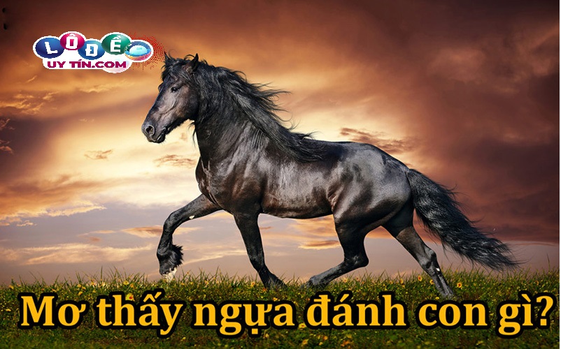 Điềm báo mơ thấy ngựa có ý nghĩa gì? Lý giải chính xác nhất 28 Điềm báo mơ thấy ngựa có ý nghĩa gì? Lý giải chính xác nhất