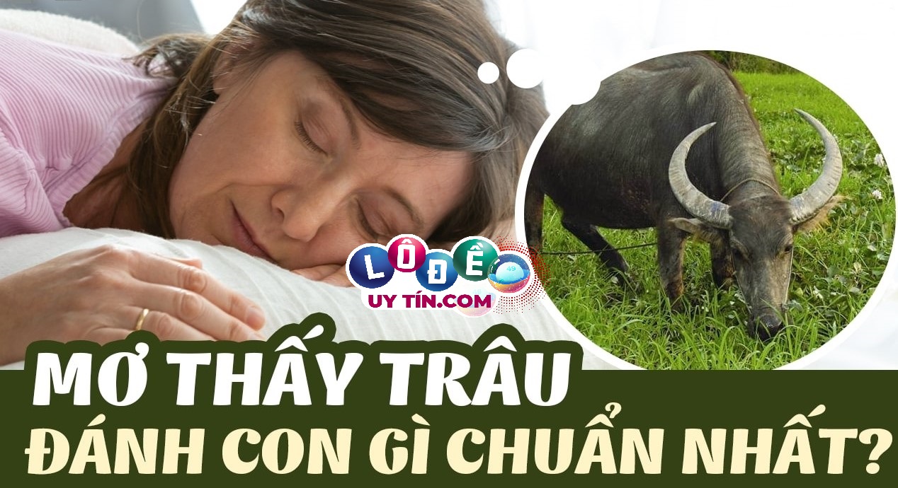 Mơ thấy trâu đánh số gì, là điềm lành hay dữ? 15 Mơ thấy trâu đánh số gì, là điềm lành hay dữ?