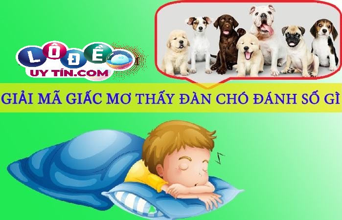 Giải mã giấc mơ thấy đàn chó - Con số nào may mắn? 16 Giải mã giấc mơ thấy đàn chó - Con số nào may mắn?
