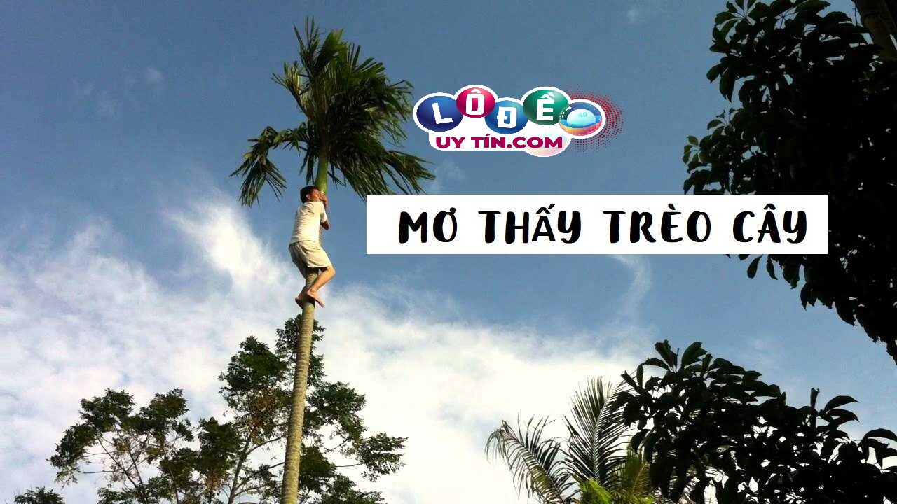 Giải mã giấc mơ trèo cây đầy đủ, chi tiết? Đánh con gì dễ ăn 12 Giải mã giấc mơ trèo cây đầy đủ, chi tiết? Đánh con gì dễ ăn