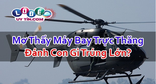 Nằm mơ thấy máy bay trực thăng có ý nghĩa gì? Đánh con gì? 19 Nằm mơ thấy máy bay trực thăng có ý nghĩa gì? Đánh con gì?