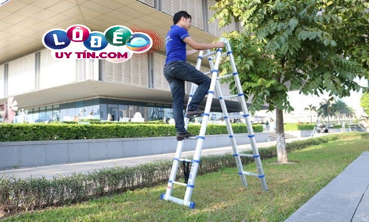 Mơ thấy trèo thang đánh con gì đẹp? Đây là điềm tốt hay xấu 1 Mơ thấy trèo thang đánh con gì đẹp? Đây là điềm tốt hay xấu