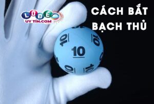 Bật mí cách bắt lô bạch thủ chuẩn nhất của chuyên gia 1 Bật mí cách bắt lô bạch thủ chuẩn nhất của chuyên gia