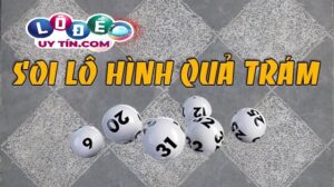Cách bắt bạch thủ lô hình quả trám đơn giản hiệu quả 35 Cách bắt bạch thủ lô hình quả trám đơn giản hiệu quả