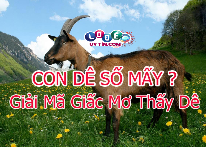 Chiêm bao mơ thấy con dê có ý nghĩa gì, đánh số mấy? 26 Chiêm bao mơ thấy con dê có ý nghĩa gì, đánh số mấy?
