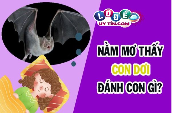 Phân tích giấc mơ thấy con dơi báo hiệu điều gì? Số mấy? 15 Phân tích giấc mơ thấy con dơi báo hiệu điều gì? Số mấy?
