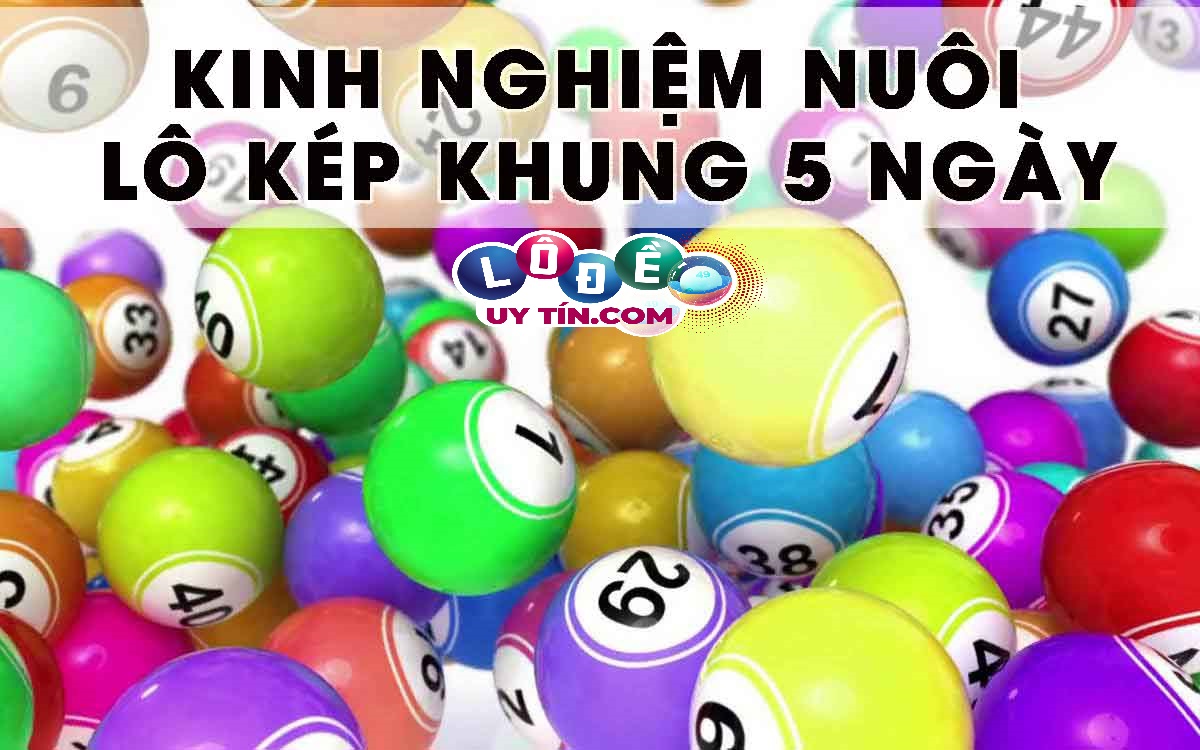 Cách nuôi lô kép khung 5 ngày chuẩn và chính xác nhất 32 Cách nuôi lô kép khung 5 ngày chuẩn và chính xác nhất