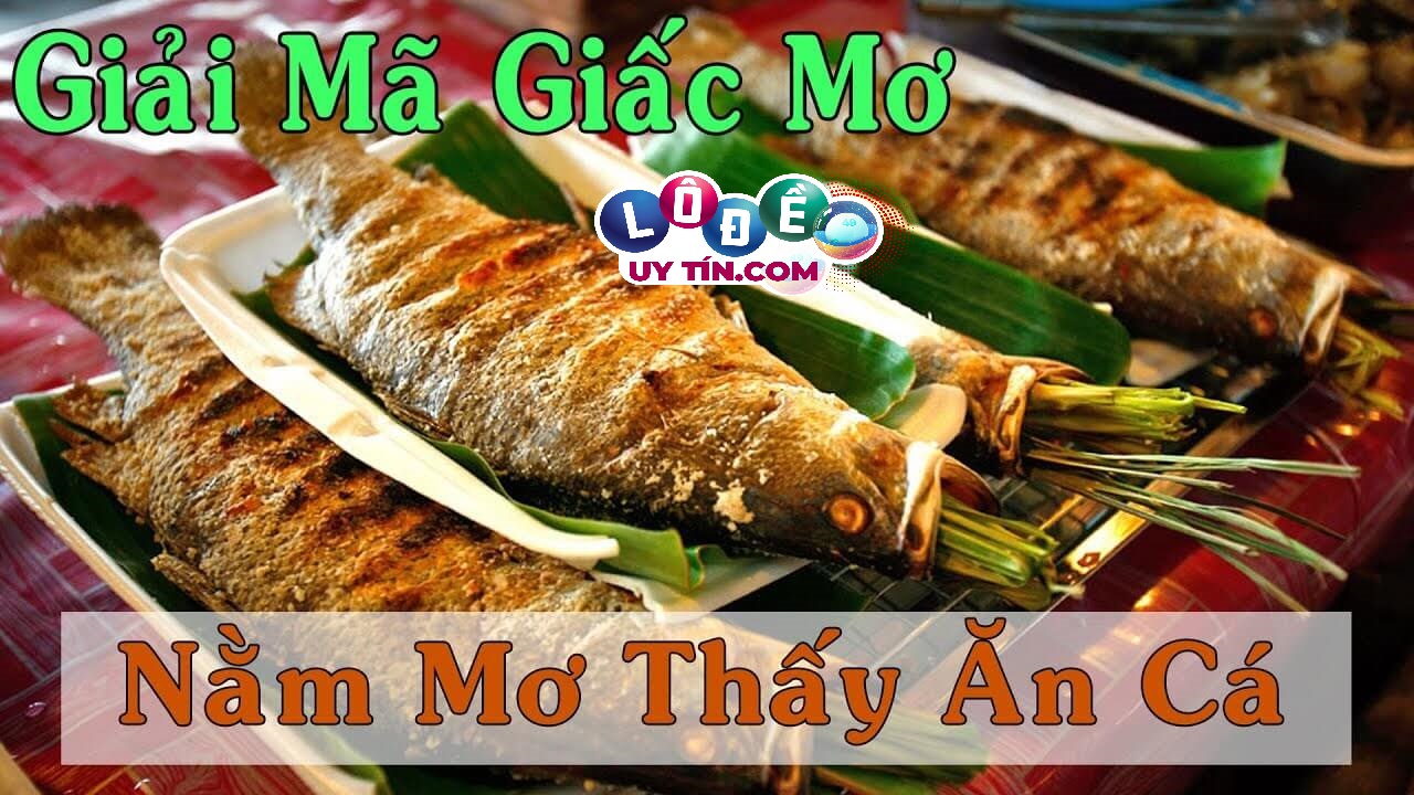 Giải mã giấc mơ thấy ăn cá - Mơ thấy ăn cá nên đánh con gì 22 Giải mã giấc mơ thấy ăn cá - Mơ thấy ăn cá nên đánh con gì