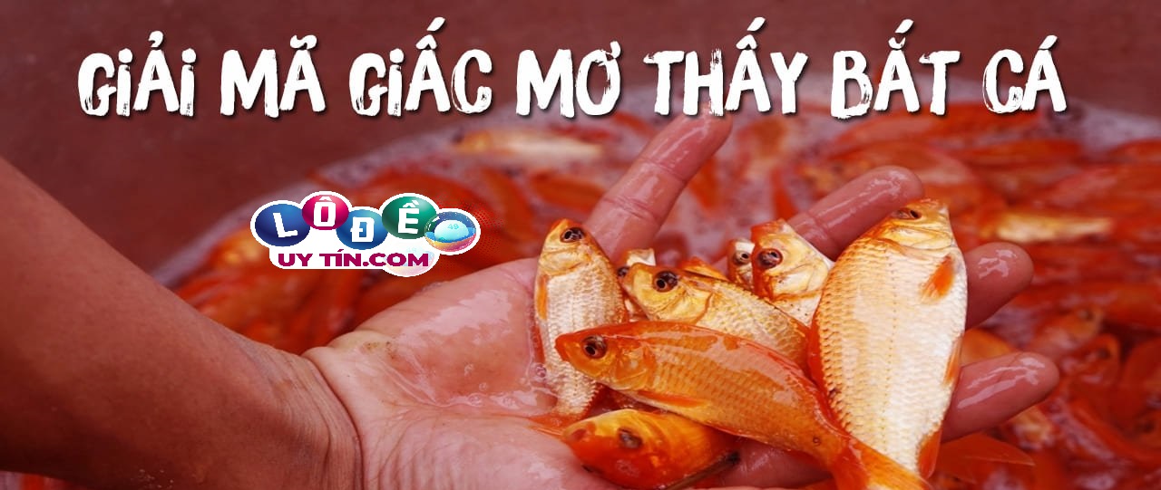 Giải mã mơ bắt được cá đánh con gì, là điềm gì? 21 Giải mã mơ bắt được cá đánh con gì, là điềm gì?