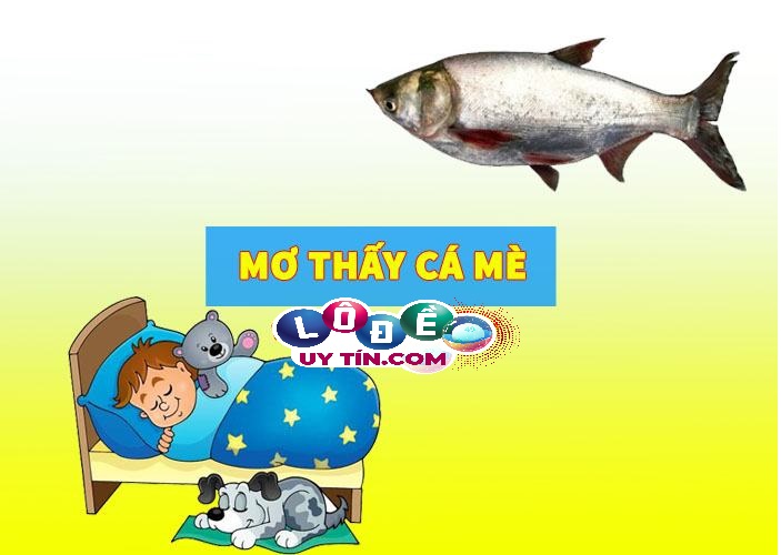 Mơ thấy cá mè đánh số mấy dễ trúng nhất, có ý nghĩa gì? 1 Mơ thấy cá mè đánh số mấy dễ trúng nhất, có ý nghĩa gì?
