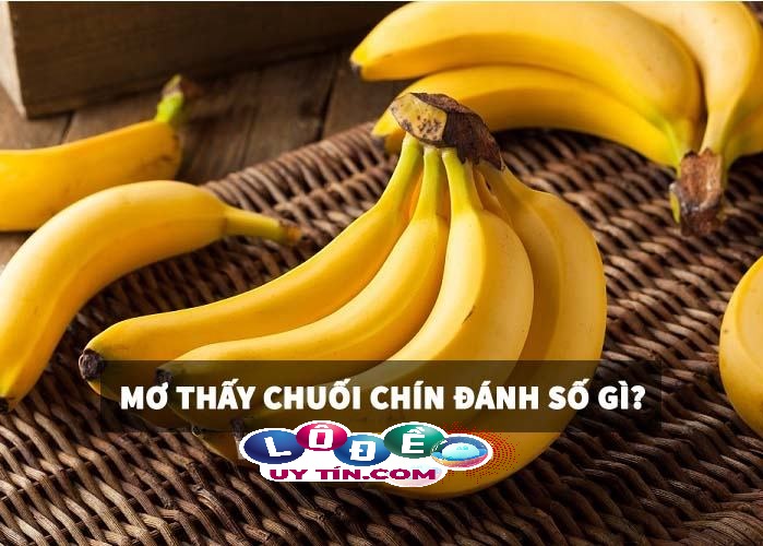 Lý giải giấc mơ thấy chuối chín đánh số nào? Là điềm báo gì? 18 Lý giải giấc mơ thấy chuối chín đánh số nào? Là điềm báo gì?