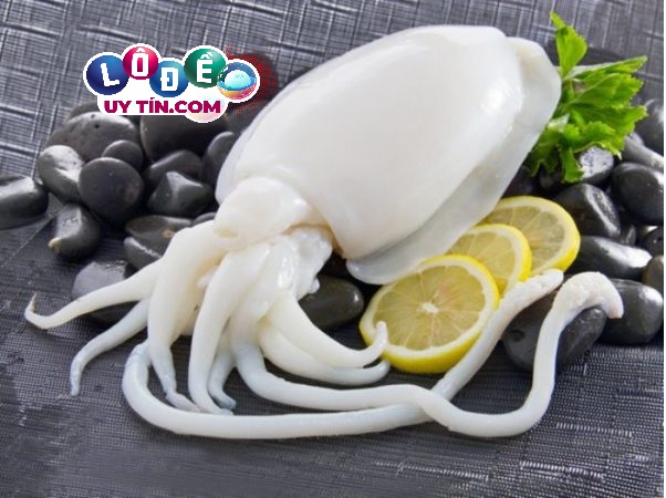 Chiêm bao mơ thấy con mực - Nằm mơ thấy mực đánh số đề gì? 33 Chiêm bao mơ thấy con mực - Nằm mơ thấy mực đánh số đề gì?