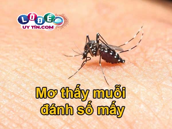 Chiêm bao mơ thấy con muỗi đánh con gì? Con số may mắn nhất 22 Chiêm bao mơ thấy con muỗi đánh con gì? Con số may mắn nhất