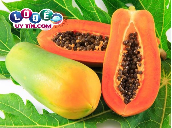 Điềm báo mơ thấy quả đu đủ có ý nghĩa gì? Đánh số gì chuẩn? 26 Điềm báo mơ thấy quả đu đủ có ý nghĩa gì? Đánh số gì chuẩn?