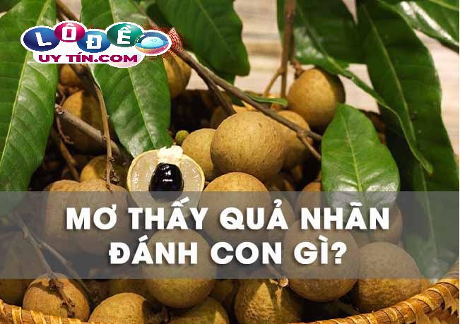 Ngủ mơ thấy quả nhãn báo hiệu điều gì? Đánh con gì chuẩn? 18 Ngủ mơ thấy quả nhãn báo hiệu điều gì? Đánh con gì chuẩn?