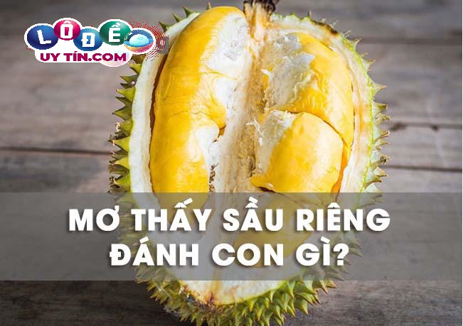 Chiêm bao mơ thấy quả sầu riêng đánh con gì trúng rực rỡ? 27 Chiêm bao mơ thấy quả sầu riêng đánh con gì trúng rực rỡ?