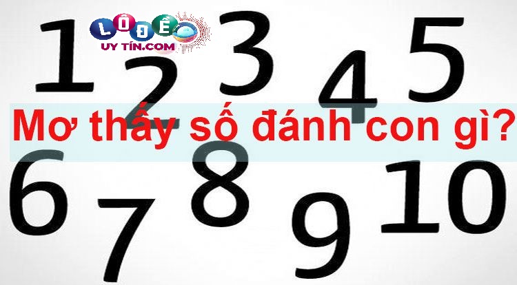 Mơ thấy nhiều con số đánh đề con gì? Giải mã bằng con số? 28 Mơ thấy nhiều con số đánh đề con gì? Giải mã bằng con số?