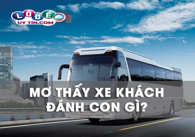 Mơ thấy xe khách là điềm gì, đánh con gì? 29 Mơ thấy xe khách là điềm gì, đánh con gì?