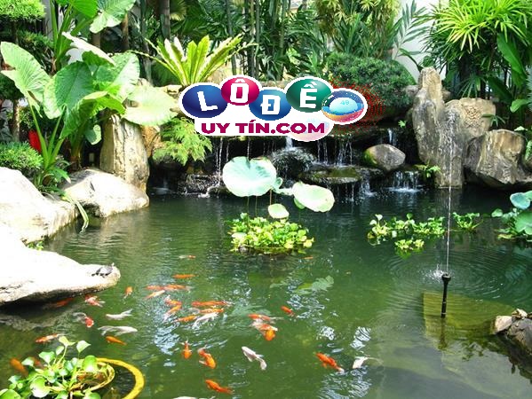 Giải mã nằm mơ thấy hồ cá là tốt hay xấu? Nên đánh con gì? 28 Giải mã nằm mơ thấy hồ cá là tốt hay xấu? Nên đánh con gì?