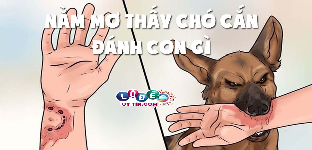 Mơ thấy chó cắn là điềm gì, đánh con gì dễ trúng nhất? 6 Mơ thấy chó cắn là điềm gì, đánh con gì dễ trúng nhất?