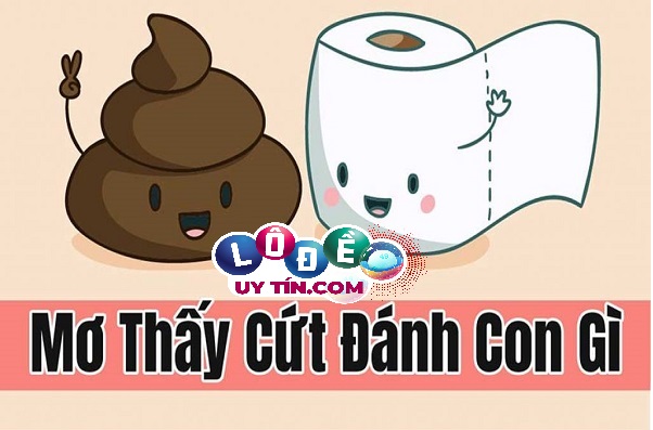 Nằm mơ thấy phân: Điềm báo và con số may mắn 8 Nằm mơ thấy phân: Điềm báo và con số may mắn