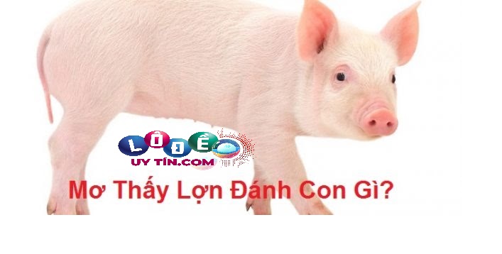 Ngủ mơ thấy con lợn có điềm gì, đánh lô đề con gì? 25 Ngủ mơ thấy con lợn có điềm gì, đánh lô đề con gì?