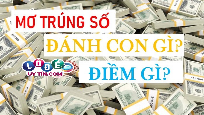Mơ thấy mình trúng lô đánh con gì chính xác 29 Mơ thấy mình trúng lô đánh con gì chính xác