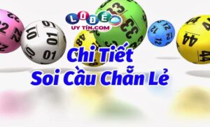 Tổng hợp phương pháp, kinh nghiệm nuôi lô đề chất lượng nhất 31 Tổng hợp phương pháp, kinh nghiệm nuôi lô đề chất lượng nhất
