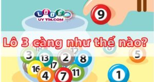 Lô 3 càng ăn bao nhiêu? Cách tính tiền lô 3 càng mới 12 Lô 3 càng ăn bao nhiêu? Cách tính tiền lô 3 càng mới