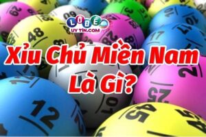 Xỉu chủ miền Nam là gì? Chia sẻ cách bắt xỉu chủ miền Nam 4 Xỉu chủ miền Nam là gì? Chia sẻ cách bắt xỉu chủ miền Nam