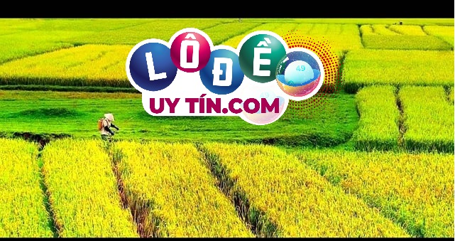 Mơ thấy đất đai có tốt không, đánh con số gì? 20 Mơ thấy đất đai có tốt không, đánh con số gì?