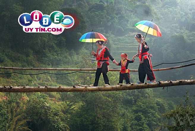 Mơ thấy đi qua cầu, cây cầu nên đánh con gì? Là điềm gì? 8 Mơ thấy đi qua cầu, cây cầu nên đánh con gì? Là điềm gì?