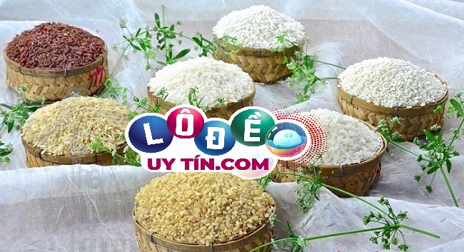 Mơ thấy lúa gạo là điềm gì, đánh số nào? 10 Mơ thấy lúa gạo là điềm gì, đánh số nào?