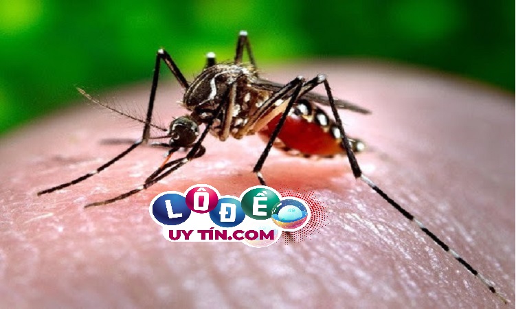 Giải đáp mơ thấy côn trùng, sâu bọ điềm gì, đánh con gì 17 Giải đáp mơ thấy côn trùng, sâu bọ điềm gì, đánh con gì