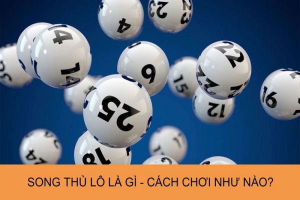 Tổng hợp các kinh nghiệm bắt song thủ lô chuẩn nhất hiện nay 26 kinh-nghiem-bat-song-thu-lo-1