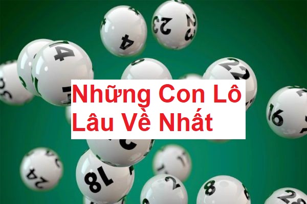 Những con lô lâu về nhất là gì? Cách tìm những con lô này 15 nhung-con-lo-lau-ve-nhat-1