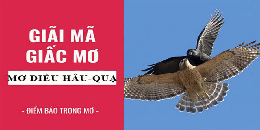 Mơ Diều Hâu - Điềm Báo Tốt Xấu Và Dự Đoán Con Số May Mắn 8 Mơ Diều Hâu - Điềm Báo Tốt Xấu Và Dự Đoán Con Số May Mắn