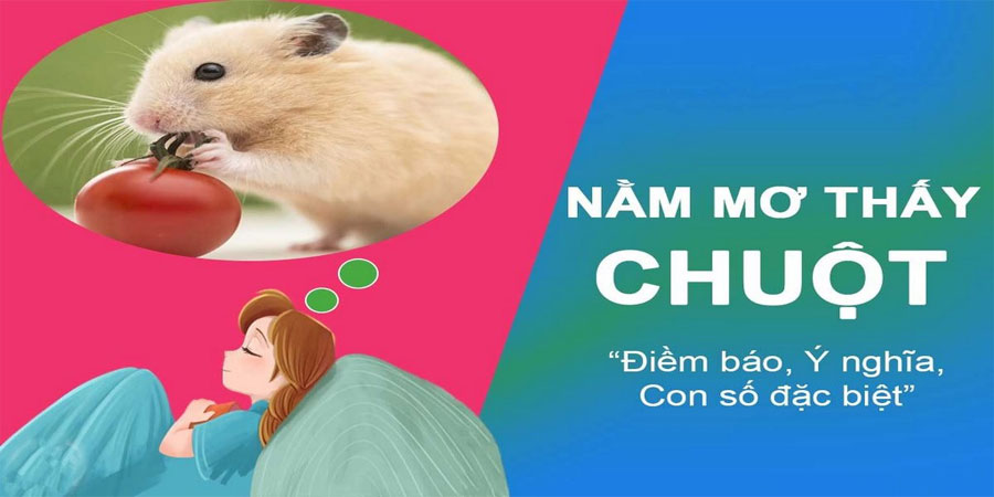Mơ Chuột Bạch - Giải Mã Ý Nghĩa Giấc Mơ Và Những Con Số May Mắn 24 Mơ Chuột Bạch - Giải Mã Ý Nghĩa Giấc Mơ Và Những Con Số May Mắn